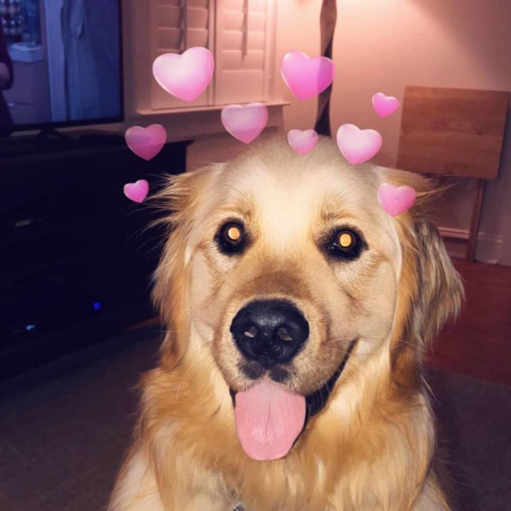 Meet your Posher, Maura